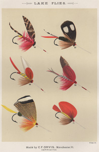 ANTIQUE PRINT OF FISHING FLIES FROM 1892